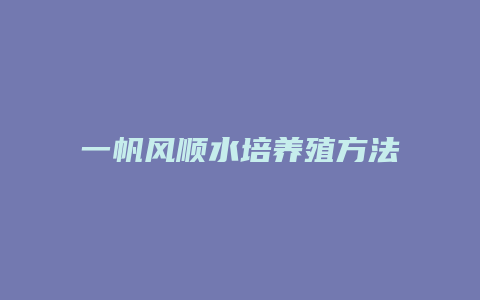 一帆风顺水培养殖方法