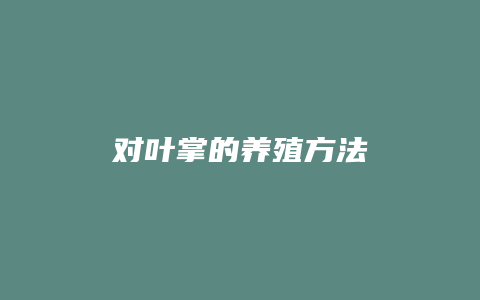 对叶掌的养殖方法