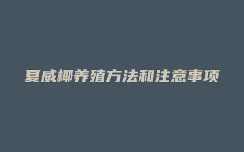 夏威椰养殖方法和注意事项