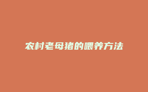 农村老母猪的喂养方法