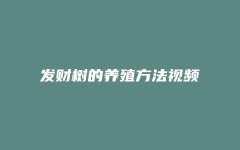 发财树的养殖方法视频