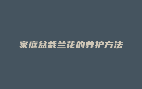 家庭盆栽兰花的养护方法