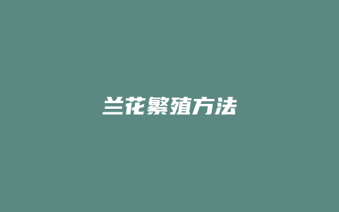 兰花繁殖方法