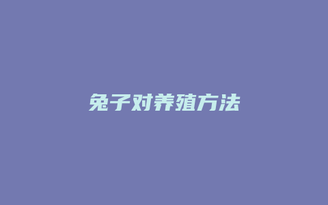 兔子对养殖方法