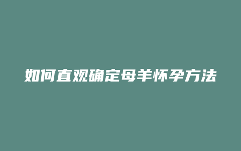 如何直观确定母羊怀孕方法