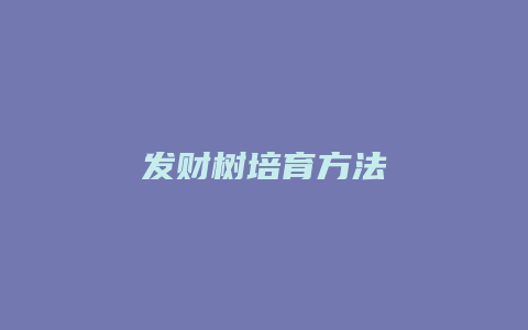 发财树培育方法