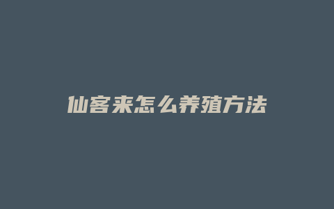 仙客来怎么养殖方法