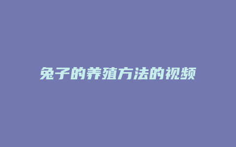 兔子的养殖方法的视频