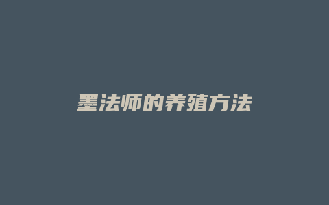 墨法师的养殖方法