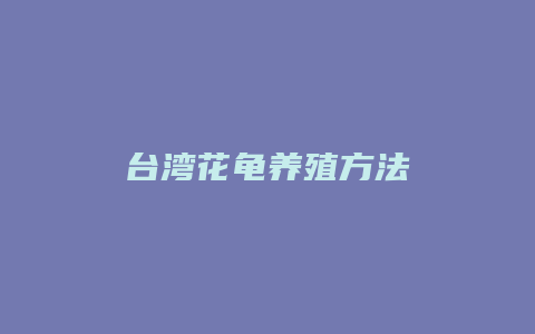 台湾花龟养殖方法