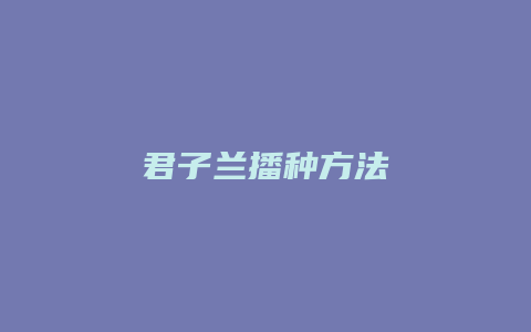 君子兰播种方法