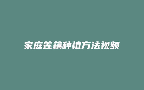 家庭莲藕种植方法视频