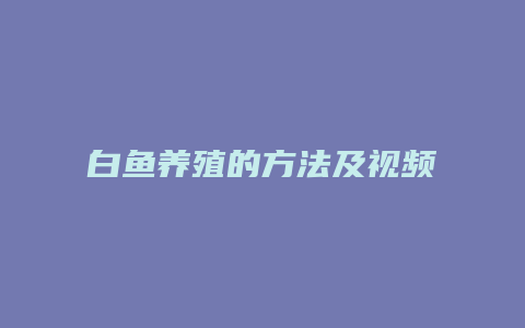 白鱼养殖的方法及视频