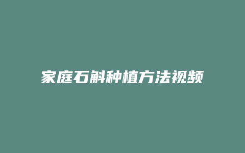 家庭石斛种植方法视频