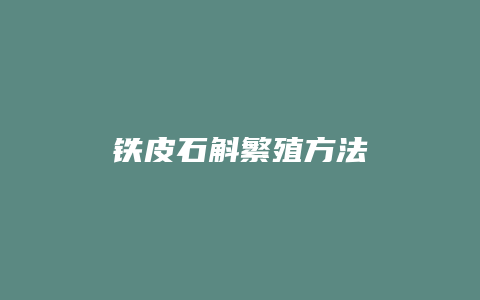 铁皮石斛繁殖方法