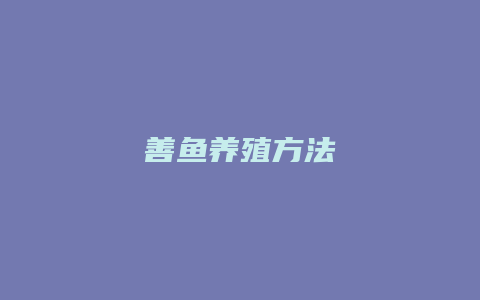 善鱼养殖方法