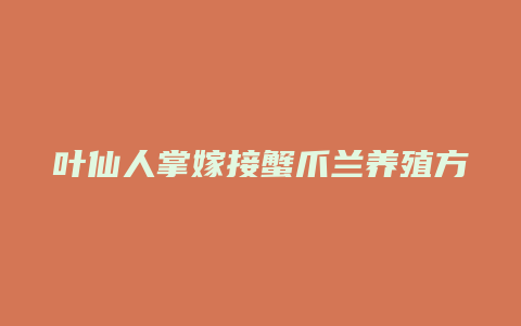 叶仙人掌嫁接蟹爪兰养殖方法