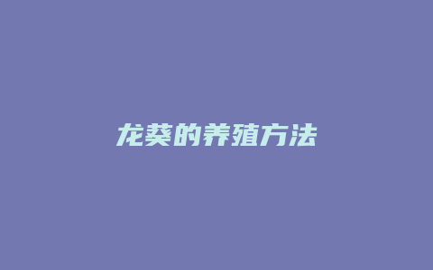 龙葵的养殖方法