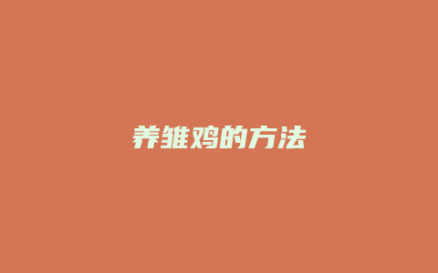 养雏鸡的方法