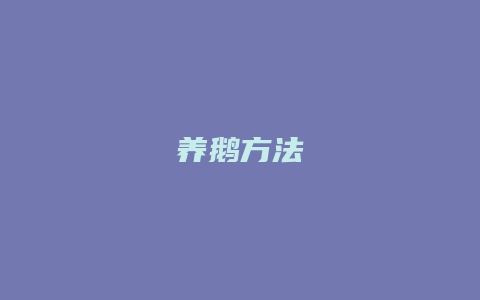 养鹅方法