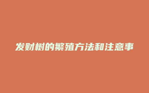 发财树的繁殖方法和注意事项