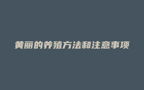 黄丽的养殖方法和注意事项