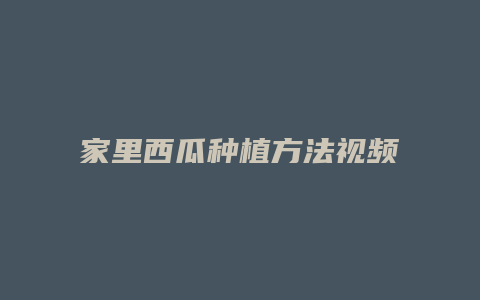 家里西瓜种植方法视频