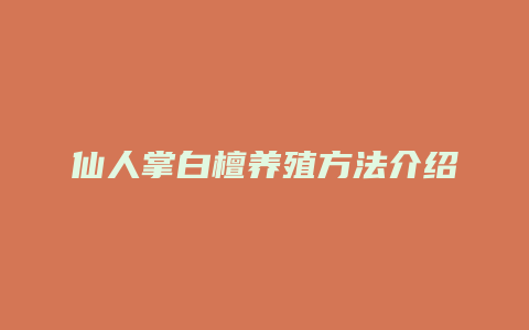 仙人掌白檀养殖方法介绍