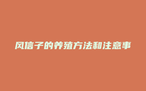 风信子的养殖方法和注意事项