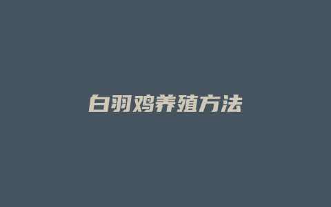 白羽鸡养殖方法