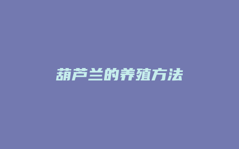 葫芦兰的养殖方法