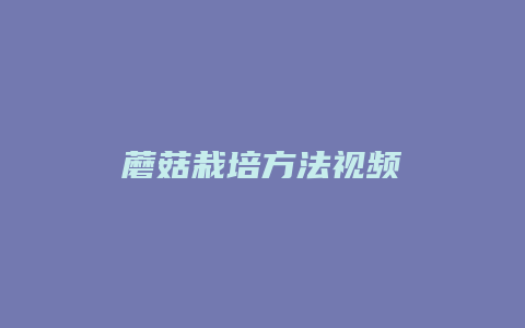 蘑菇栽培方法视频