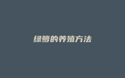 绿箩的养殖方法