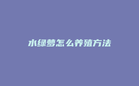 水绿萝怎么养殖方法