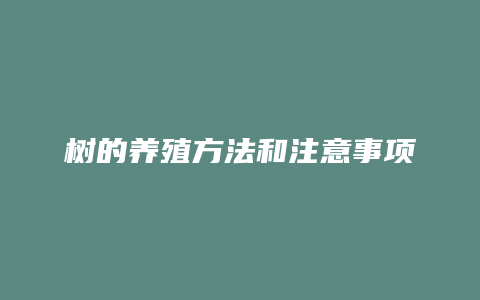 树的养殖方法和注意事项