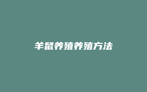 羊鼠养殖养殖方法