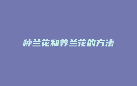 种兰花和养兰花的方法