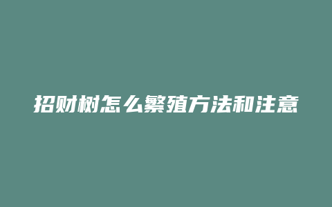 招财树怎么繁殖方法和注意事项