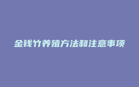 金钱竹养殖方法和注意事项