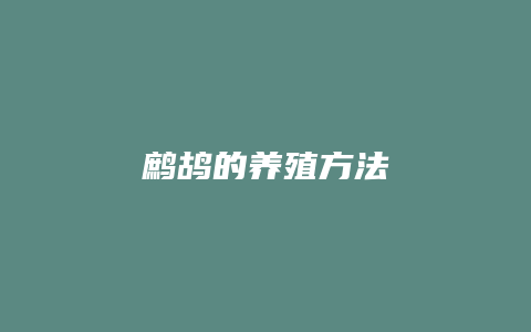 鹧鸪的养殖方法