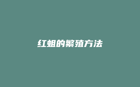 红蛆的繁殖方法