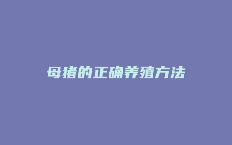 母猪的正确养殖方法