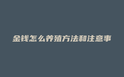 金钱怎么养殖方法和注意事项