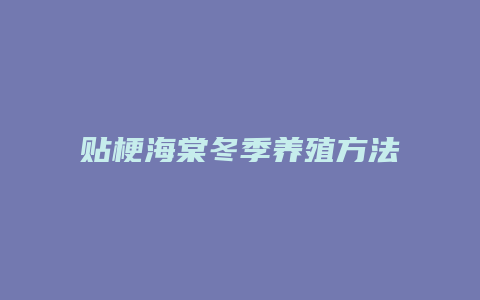 贴梗海棠冬季养殖方法