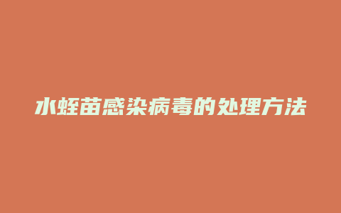 水蛭苗感染病毒的处理方法