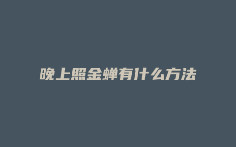 晚上照金蝉有什么方法