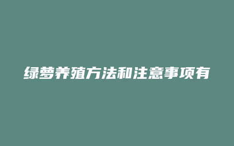 绿萝养殖方法和注意事项有哪些