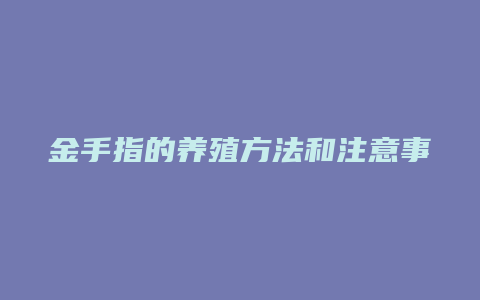 金手指的养殖方法和注意事项