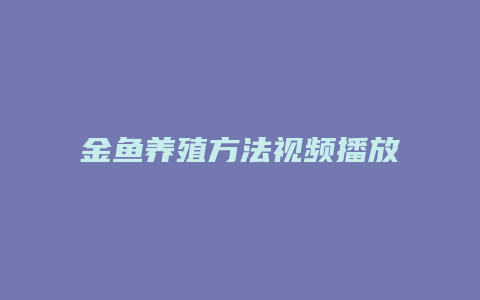 金鱼养殖方法视频播放