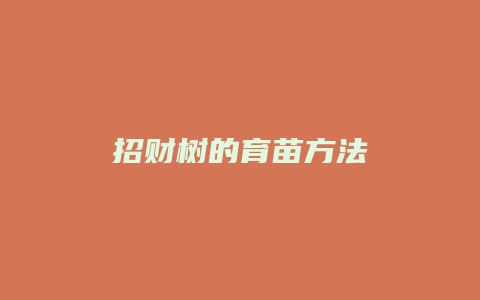 招财树的育苗方法